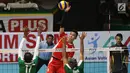 Pevoli putra Indonesia, Sigit Ardian melakukan smes saat melawan Arab Saudi di Kejuaraan Voli Asia 2017 ke-16 di GOR Tri Dharma, Gresik, Senin (24/7). Indonesia unggul 25-23, 25-21, 22-25, 26-24. (Liputan6.com/Helmi Fithriansyah)