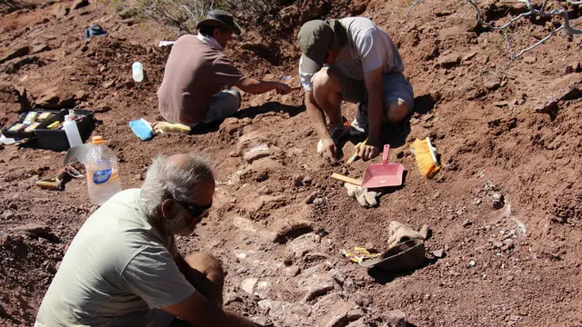 Fosil Dinosaurus Raksasa di Argentina