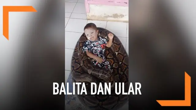 Seorang balita tetap tenang saat tidur dan bermain di lilitan ular piton raksasa.