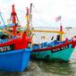 Dua kapal ikan asing berbendera Malaysia yang ditangkap Bakamla bersama Dinas Kelautan dan Perikanan Provinsi Riau. (Liputan6.com/Istimewa)