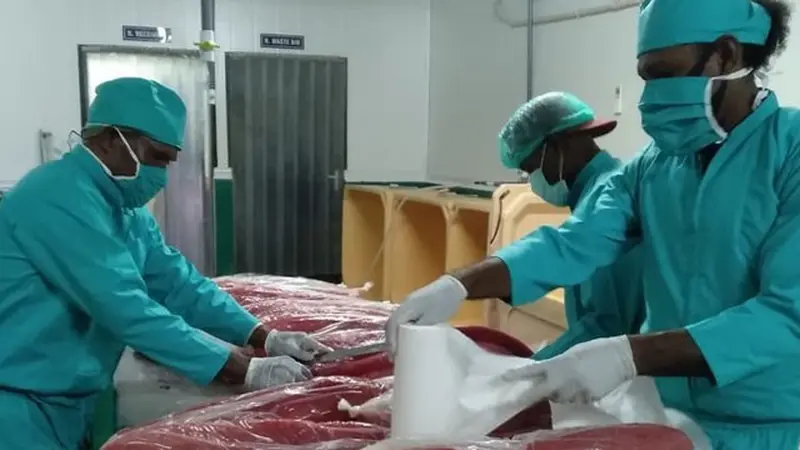 Kaya Hasil Laut, Biak Ekspor Perdana Produk Tuna ke Singapura