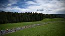 Rombongan pebalap melintasi padang rumput hijau di Swiss selama etape ke-8 pada ajang balapan sepeda Tour de France 2022. (AFP/Anne-Christine Poujoulat)