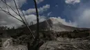 Gunung Sinabung terlihat dari perkebunan yang rusak akibat luncuran awan panas pada April 2015 di Desa Sibintun, Karo, Sumatera Utara, Minggu (5/7/2015). Akibat letusan Sinabung, desa tersebut sudah tak lagi berbentuk. (Liputan6.com/Johan Tallo)