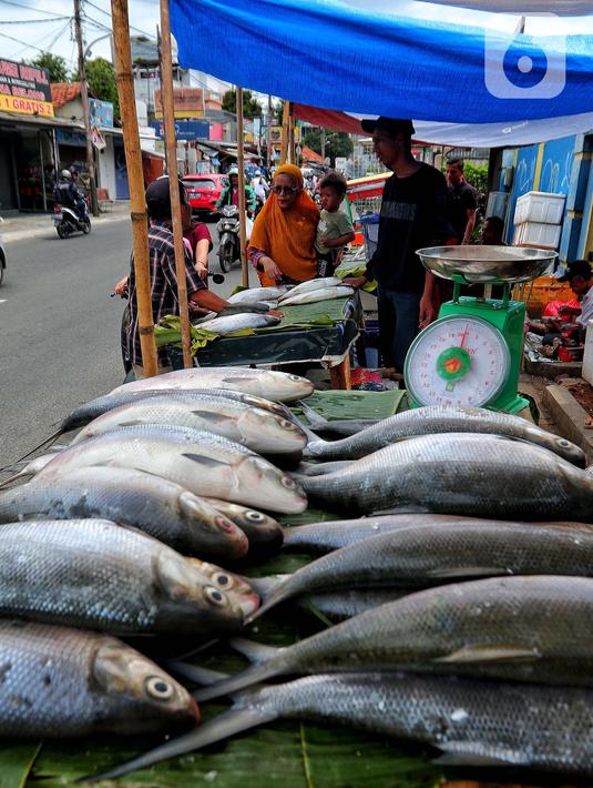 Pembeli memilih ikan bandeng yang di jual di Rawa Belong, Jakarta, Jumat (20/1/2023). Penjual bandeng musiman ini menjual daganganya jelang perayaan Imlek yang dijual dengan harga mulai dari Rp. 50.000 hingga Rp. 90.000 per kilonya. (Liputan6.com/Angga Yuniar)