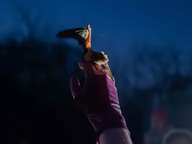 Seorang wanita membantu kelelawar yang diselamatkan untuk kembali terbang saat upacara pengembalian kelelawar ke alam liar di Kyiv, Ukraina, Sabtu 4 April 2026. Ukrainian Bat Rehabilitation Center menggelar upacara pengembalian kelelawar ke alam liar. (AP Photo/Dan Bashakov)