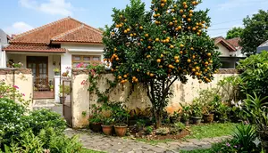 8 Pohon Buah Pendek untuk Taman Rumah Kecil, Cocok Ditanam di Pot