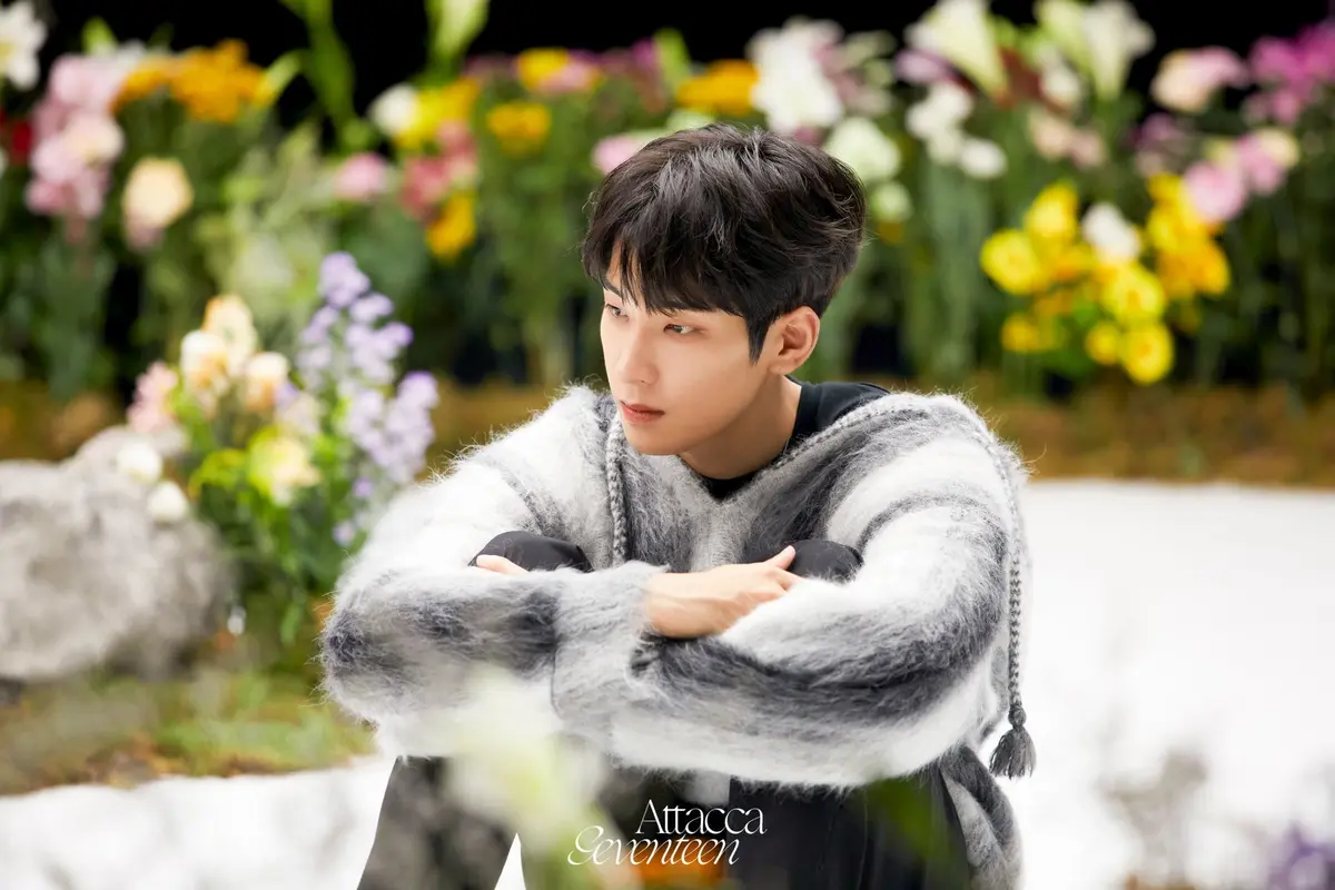 Wonwoo Seventeen. (Pledis Entertainment via Soompi)