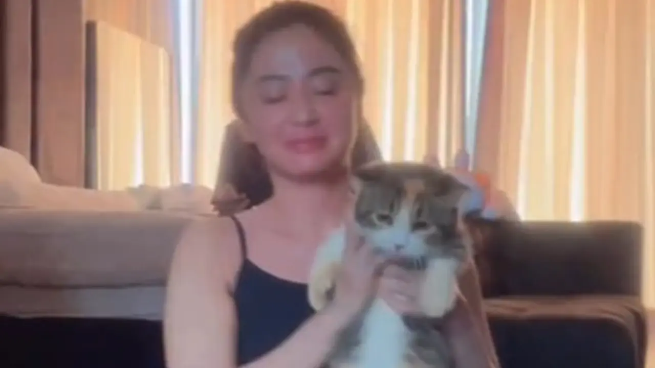 6 Potret Dewi Perssik Jaga Kucing Eko Patrio yang Selamat Pasca Penjarahan Rumah