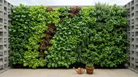 6 Desain Vertical Garden yang Menyatu dengan Dinding Roster, Mempercantik Hunian Modern
