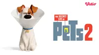 Sinopsis Film The Secret Life of Pets 2 di Vidio: Film Anak tentang Kehidupan Rahasia Para Hewan