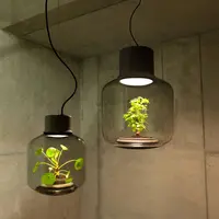 Kamu bisa menjadikan lampu ini sebagai pot tanaman di dalam ruangan. Cool!
