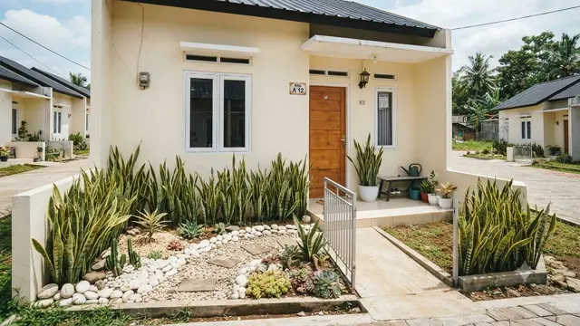 Rekomendasi Tanaman untuk Taman Kering di Rumah Subsidi