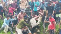 Dramatisnya Upaya Evakuasi Seorang Wanita dari Cengkeraman Buaya