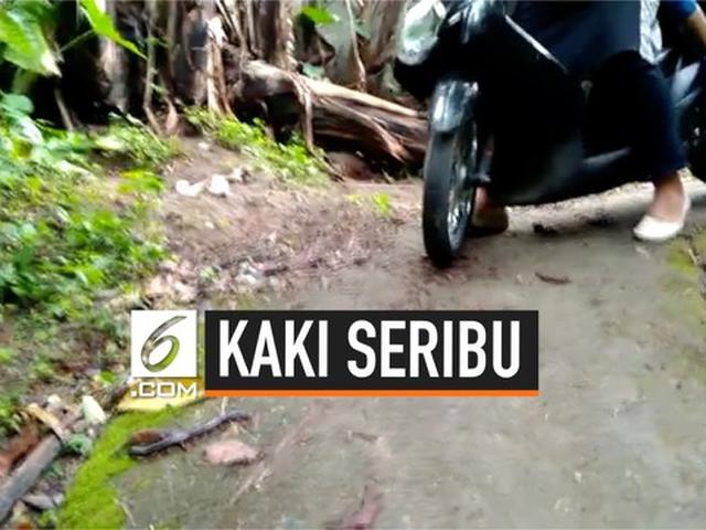 Video Hindari Kaki Seribu Emak Emak Jatuh Dari Motor Citizen6 Liputan6 Com