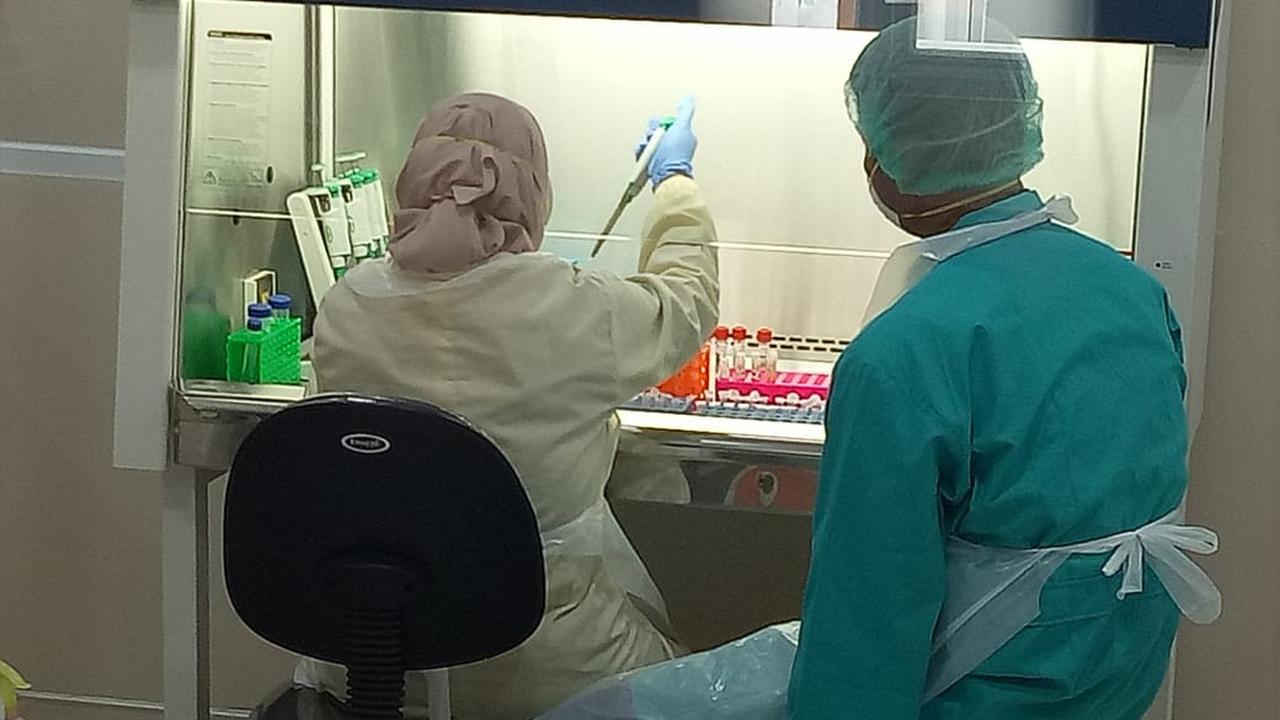 Corona di Yogyakarta