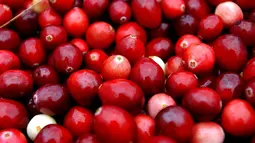 Selain mengandung banyak air, buah berry juga mengandung vitamin C yang baik untuk membersihkan arteri dan mengatur gula darah. Yang termasuk dalam keluarga buah berry antara lain adalah blackberry, cranberry, blueberry dan strawberry. (AFP Photo)