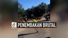 Kemeriahan festival kuliner di California Amerika Serikat terhenti saat seorang pengunjung menembakkan senapannya secara membabi buta. 4 orang tewas termasuk pelaku penembakan.