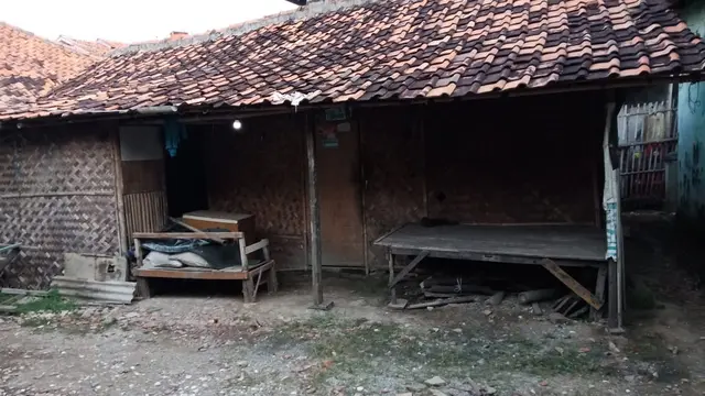 Nenek Wasmi tinggal sebatangkara di gubuk reyot di Karawang. (Foto: Liputan6.com/Abramena)