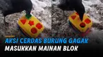 Satu per satu ia memasukkan blok ke masing-masing lubang sesuai bentuknya.