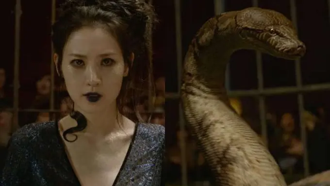 Sosok ular sakti Nagini dalam film Fantastic Beats, The Crimes of Grindelwald menuai kritik luas (AFP)