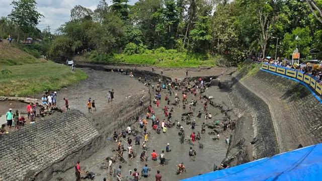 Jelang Musim Tanam 2024-2025, Pemkab Banyuwangi Keringkan Sejumlah DAM Besar