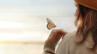 Ilustrasi penggemar kupu-kupu. (Shutterstock)