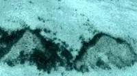 Google Earth Ungkap 2 Piramida Bawah Laut di Florida, Alien?
