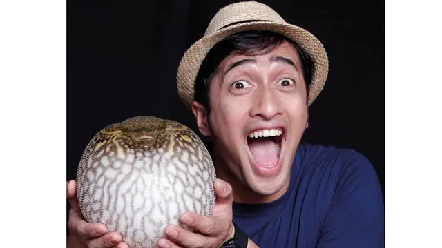 Irfan hakim bukan saja suka dengan reptil, tapi juga ikan hias dan kura-kura
