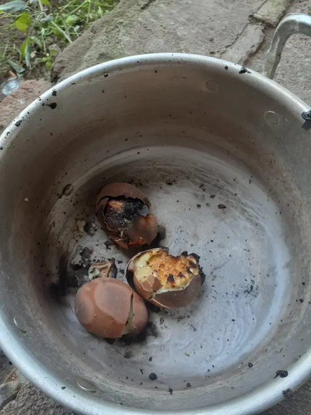 6 Momen Apes Masak Telur Sampai Gosong Ini Bikin Enggak Napsu Makan
