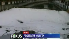 Walaupun bukan yang pertama kali terjadi, namun tumpukan busa tersebut lebih banyak dibandingkan kasus sebelumnya.