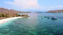 Pantai berpasir merah jambu hanya ada di beberapa negara di dunia, salah satunya Indonesia yang ada di kawasan Taman Nasional Pulau Komodo, Nusa Tenggara Timur. (Liputan6/ Ahmad Ibo).