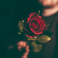 Taurus. (Sumber foto: unsplash.com)