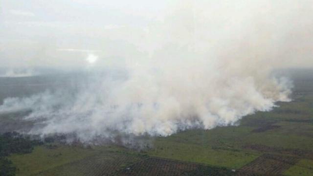 Dikepung Kabut Asap, Jarak Pandang Dua Kota di Riau Terbatas