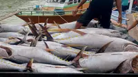 Tradisi Huhate ala Maluku, Kunci Emas Indonesia Menuju Pasar Tuna Premium yang Syaratkan Keberlanjutan