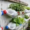 Cara Menyulap Sampah Plastik Rumah Tangga Menjadi Kebun Sayur Mini, Estetik Hemat Lahan
