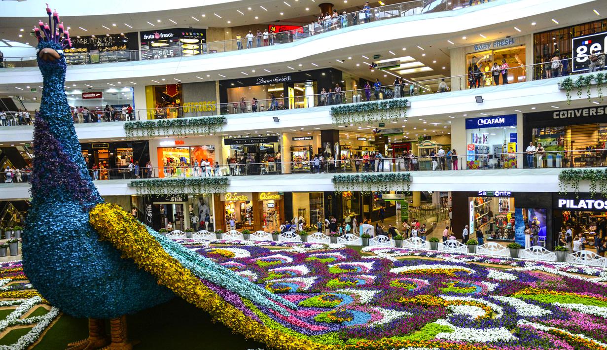 Merak raksasa yang ditampilkan selama Festival Bunga di Pusat Perbelanjaan Santa Fe di Medellin, Kolombia (3/8). Merak yang terbuat dari 182.000 bunga ini memiliki panjang 12 meter (40 kaki). (AFP Photo/Joaquin Sarmiento)