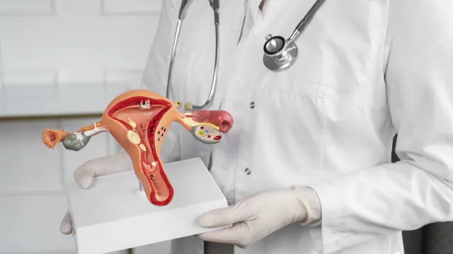 Perdarahan Setelah Hubungan Seksual Bisa Jadi Tanda Kanker Serviks. Foto: Freepik