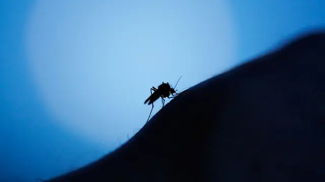 Musim Hujan Tiba, Waspadai Wabah ‘Super Malaria’!