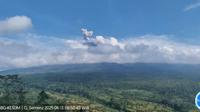 Gunung Semeru erupsi, tinggi letusan capai 700 mter (Istimewa)