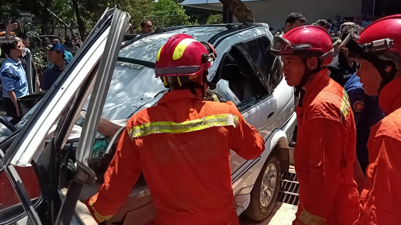Mobil timpa pohon tumbang