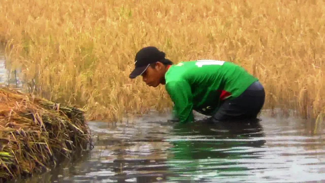 Pemprov Banten sanggup menambah lahan pertanian seluas 61.038 hektare (Ha) di enam kabupaten dan kota.