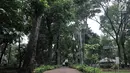 Warga jalan-jalan santai di Taman Hutan Kota Tebet, Jakarta, Kamis (19/4). Pemprov DKI Jakarta berencana memberdayakan hutan kota sebagai destinasi wisata gratis. (Merdeka.com/Iqbal Nugroho)