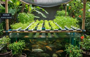 Tanaman Akuaponik. (Foto: AI)