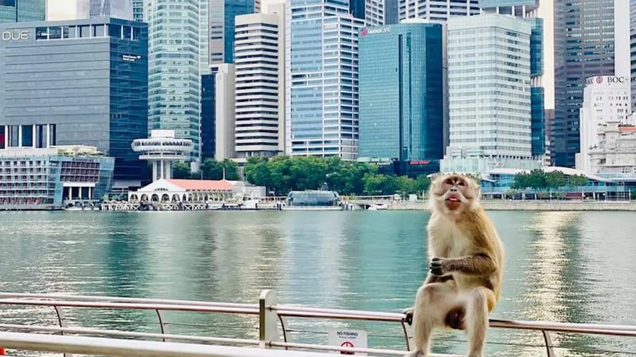 Marina Bay Sands