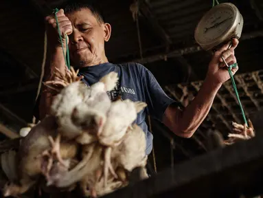 Seorang pria membawa ayam untuk ditimbang sebelum pengiriman di sebuah peternakan unggas, Jakarta pada 4 April 2026. Harga sejumlah komoditas pangan masih menunjukkan tren tinggi. (YASUYOSHI CHIBA/AFP)