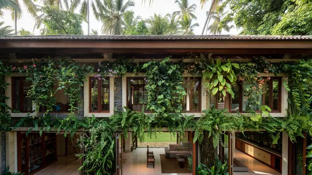 Model Tampak Depan Rumah Minimalis Asri dengan Tanaman Rambat