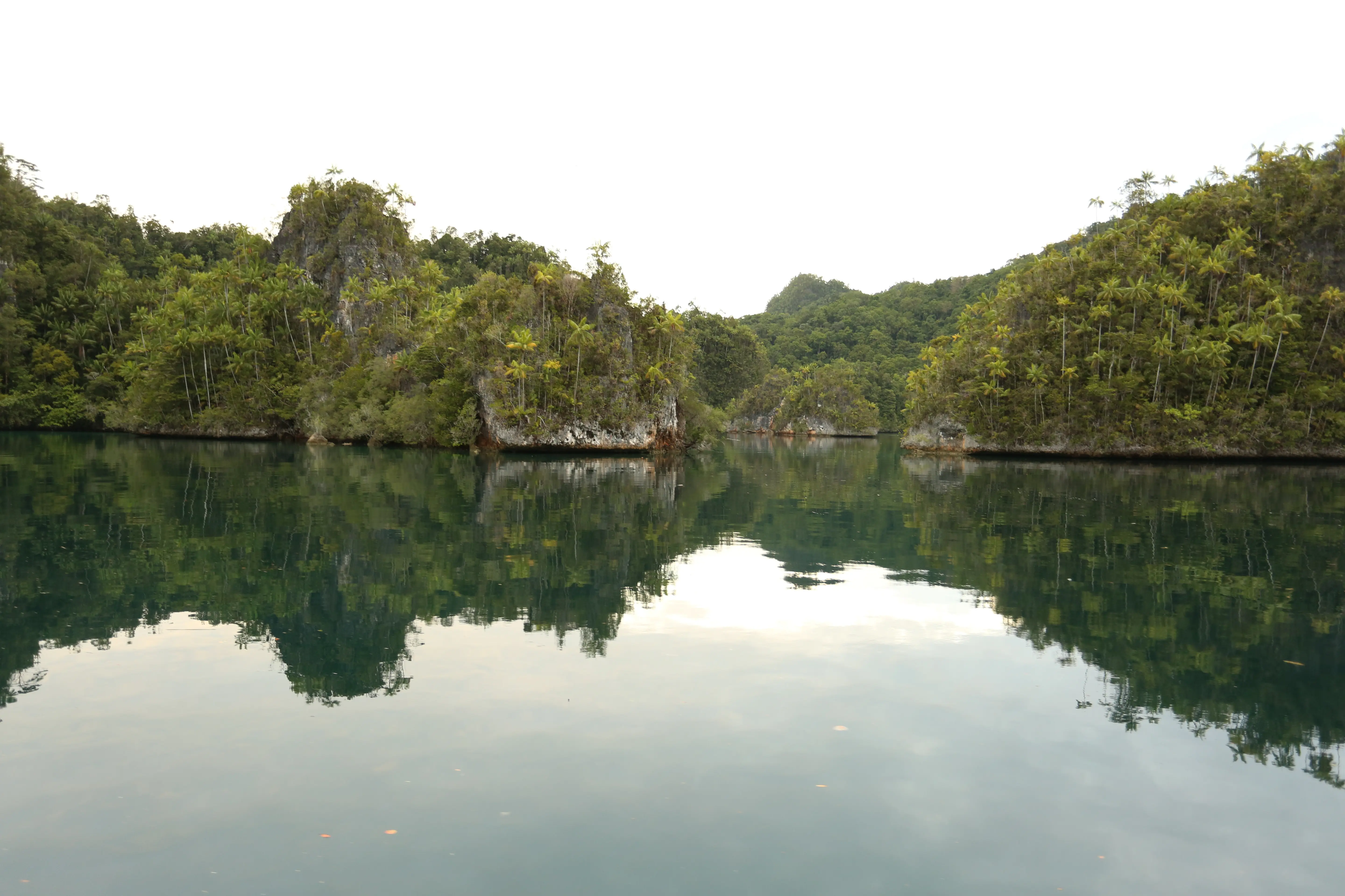 Teluk Triton yang terletak di Kabupaten Kaimana, Papua Barat. (Bintang.com/Ruben Silitonga)