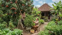 Pohon Buah Kerdil vs Pohon Besar, Mana yang Menghasilkan Buah Lebih Berkualitas?