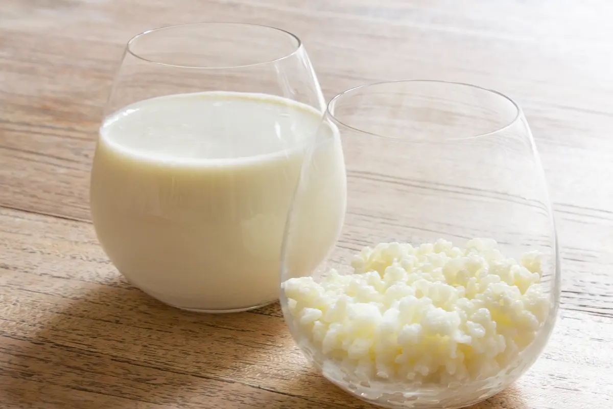kefir