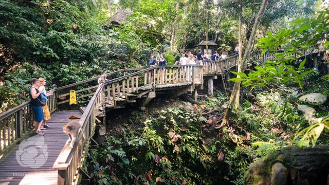Hutan konservasi
